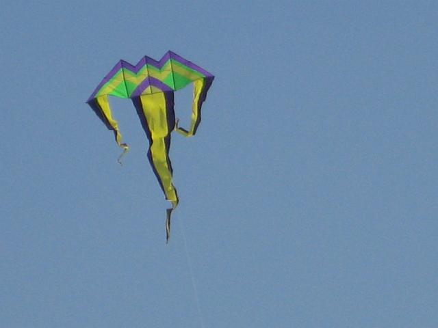 Drachenfest Bergeijk 2009 084.jpg